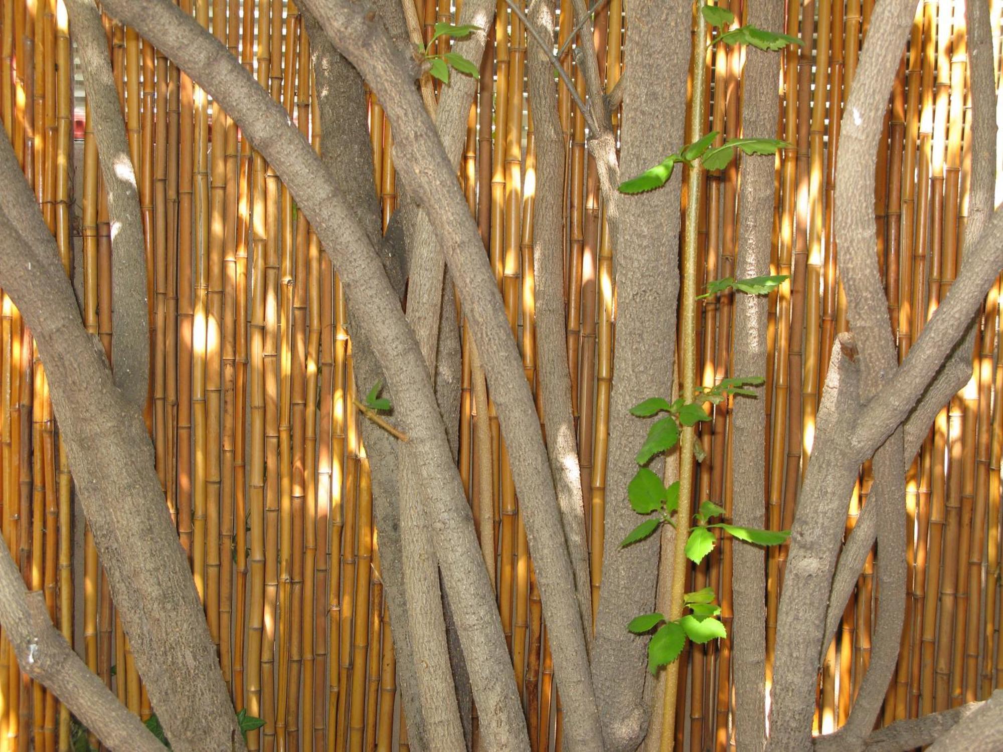 Casa De Tres Lunas/House Of Three Moons Santa Fé Extérieur photo